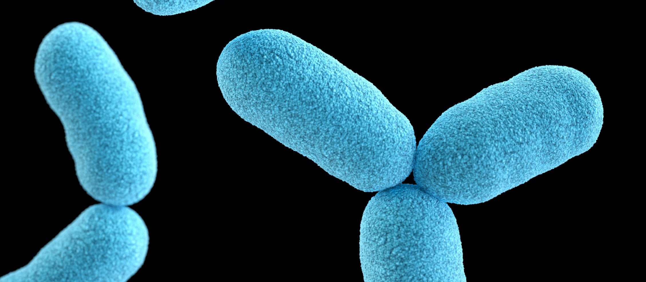 Biosolution – Kan mikroorganismer förändra framtidens industri?