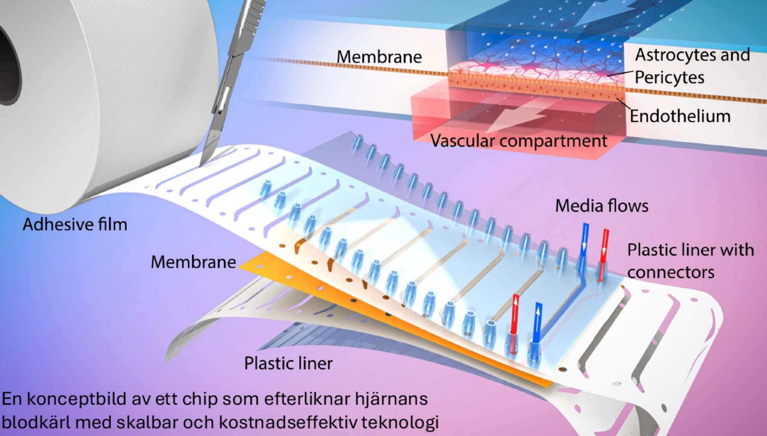 En konceptbild av ett chip som efterliknar hjärnans blodkärl med teknologi.