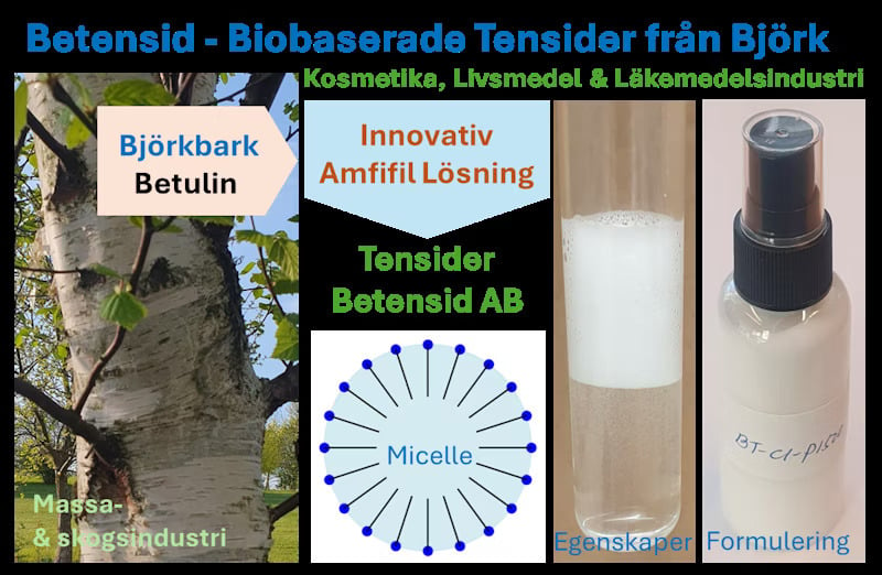 Ett collage med en björk, Tensider Betensid ABs logotyp, modell av en micelle, tensid i flytande form.