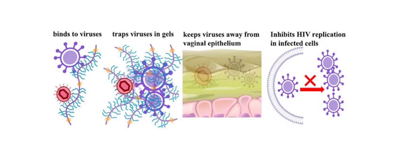 Hur virus regerar i kontakt med gel