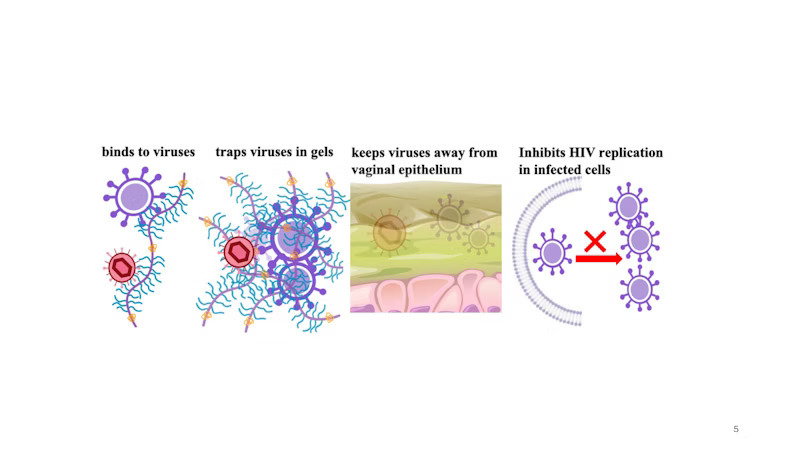 Virus i kontakt med gel