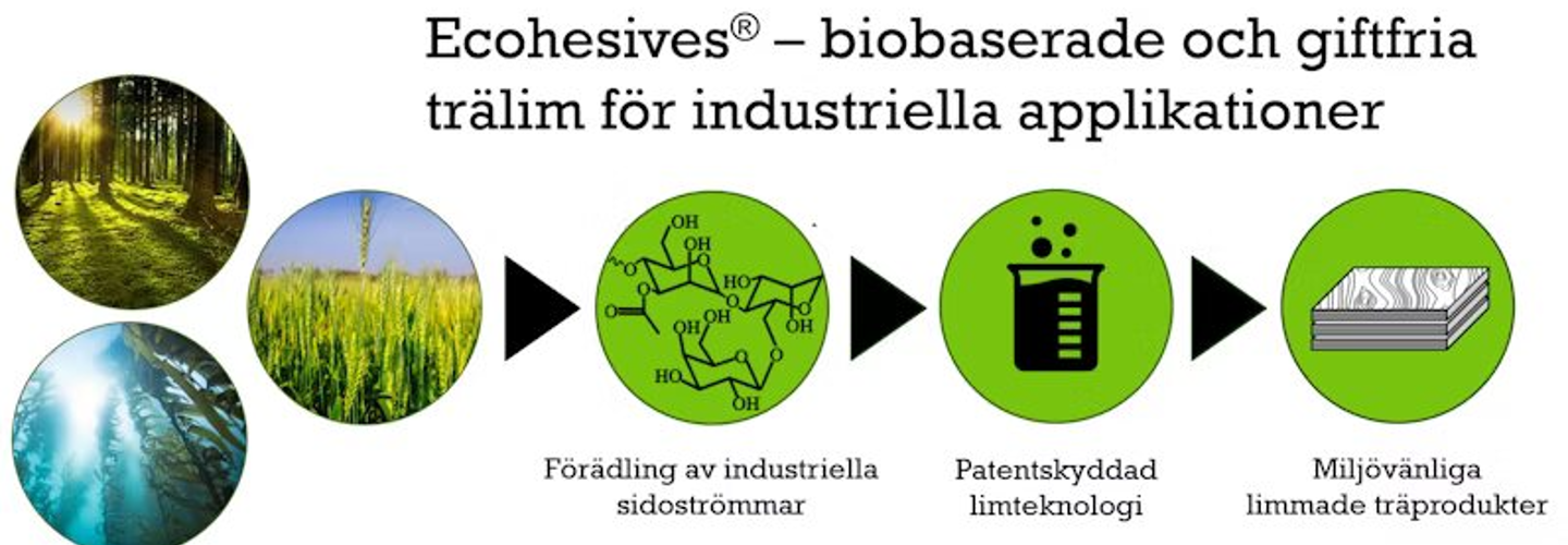 Förädling av industriella sidoströmmar, sedan patentskyddad limteknologi, resulterar i miljövänliga limmade trädprodukter från biomaterial.