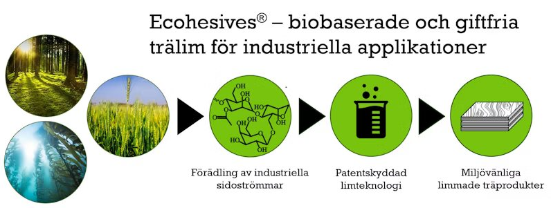 Förädling av industriella sidoströmmar, sedan patentskyddad limteknologi, resulterar i miljövänliga limmade trädprodukter från biomaterial.