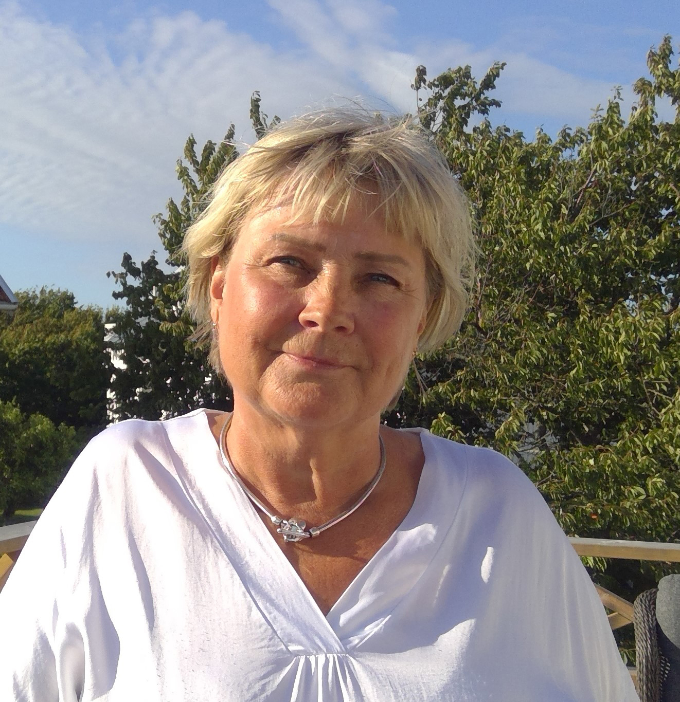 Åsa-Lindholm Dahlstrand